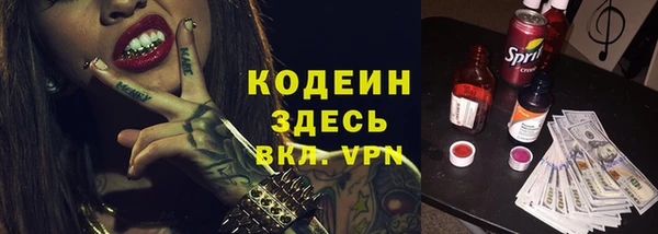 прущий лед Новозыбков