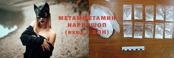 индика Новокубанск