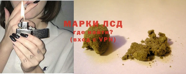 прущий лед Новозыбков