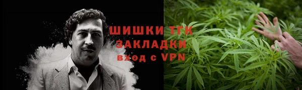 прущий лед Новозыбков