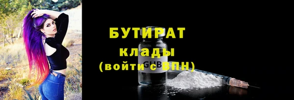 прущий лед Новозыбков