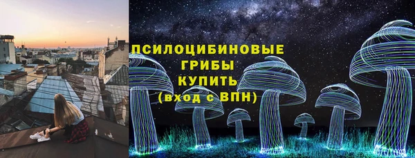 ГАЛЛЮЦИНОГЕННЫЕ ГРИБЫ Новодвинск