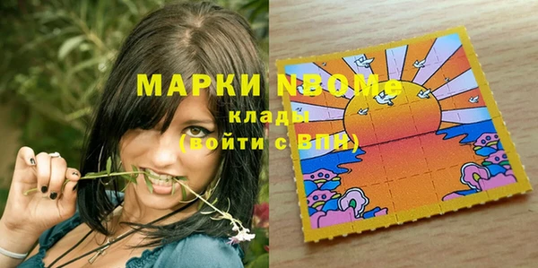 индика Новокубанск