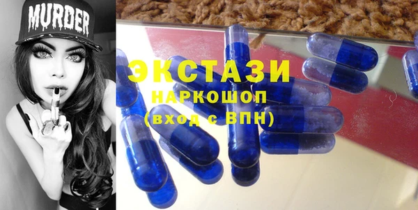 индика Новокубанск