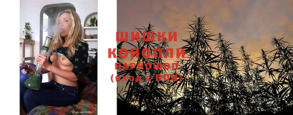 индика Новокубанск