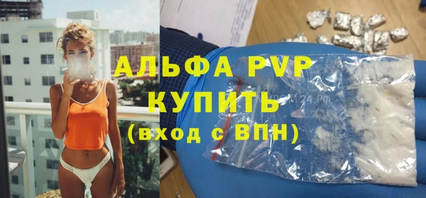 прущий лед Новозыбков